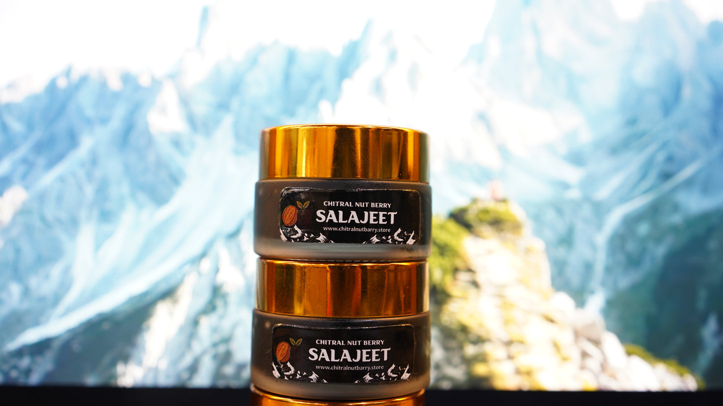 "Premium Himalayan Sallajeet – Organic Power for Mind & Body"