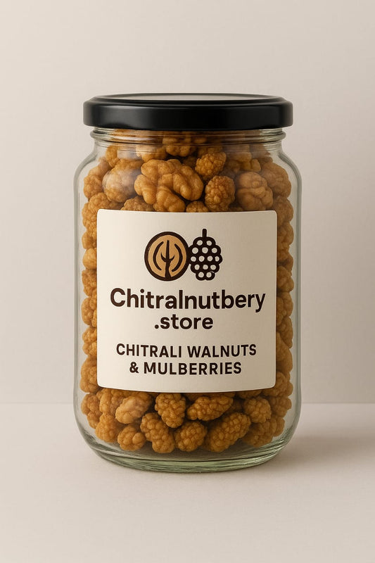 “Premium Walnut Giri & White Mulberry – Healthy Snack Jar”