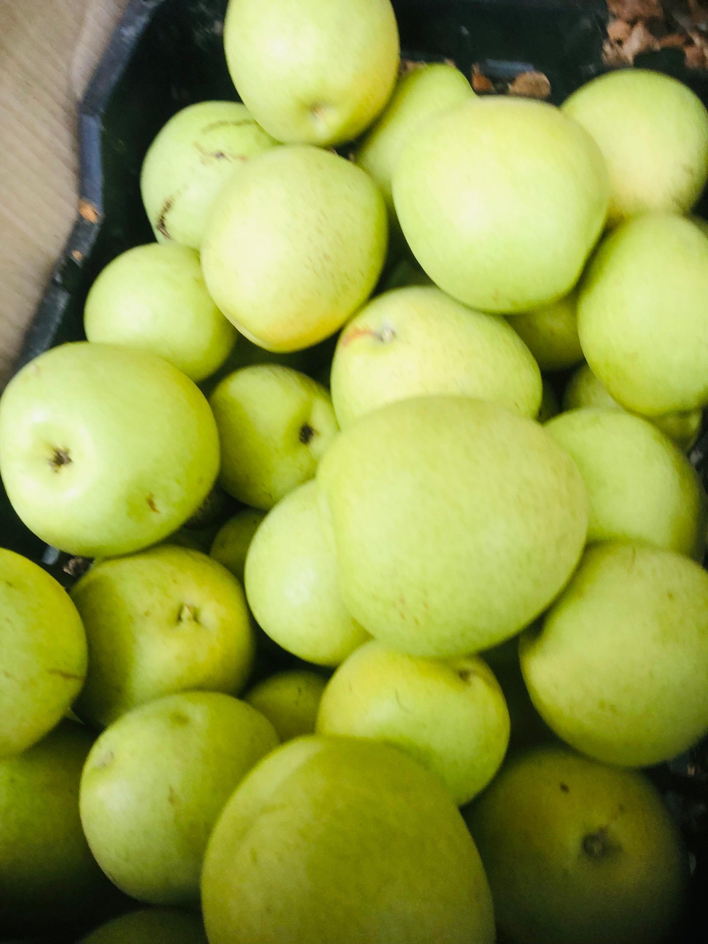 Seasonal Fresh Chitrali Nashpati – Direct from Chitral Orchards